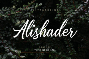 Alishader: The Elegant Calligraphy Font Redefining Modern Design