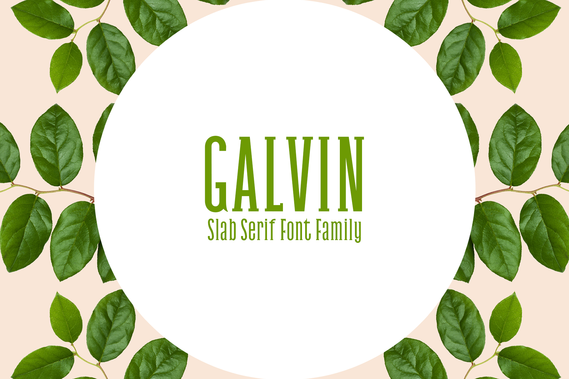 Galvin Family Pack: A Stylish Font for Every Project